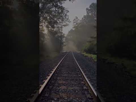 Through the Bible | Psalm 104