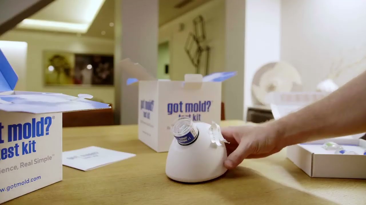 GOT MOLD? // How It Works