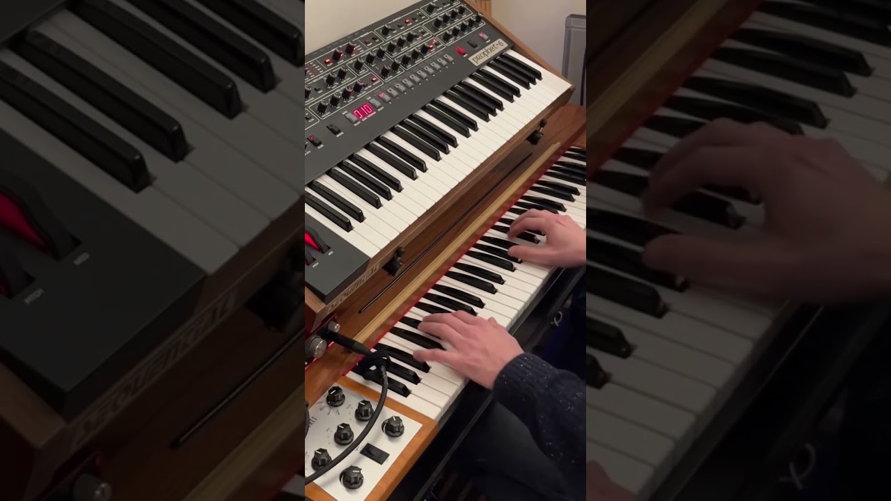 Prophet6 + ClavinetD6 beat 🎶✨