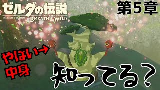 【ゼルダの伝説BotW 第5章】ついに登場ボックリン！！本当はやばいマラカスの中身知ってる？？【ゲーム実況】【THE LEGEND OF ZELDA BotW】