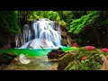 Sandeep Maheshwari Background Music With Waterfall Sound Beauty Calm Peace Mind Control
