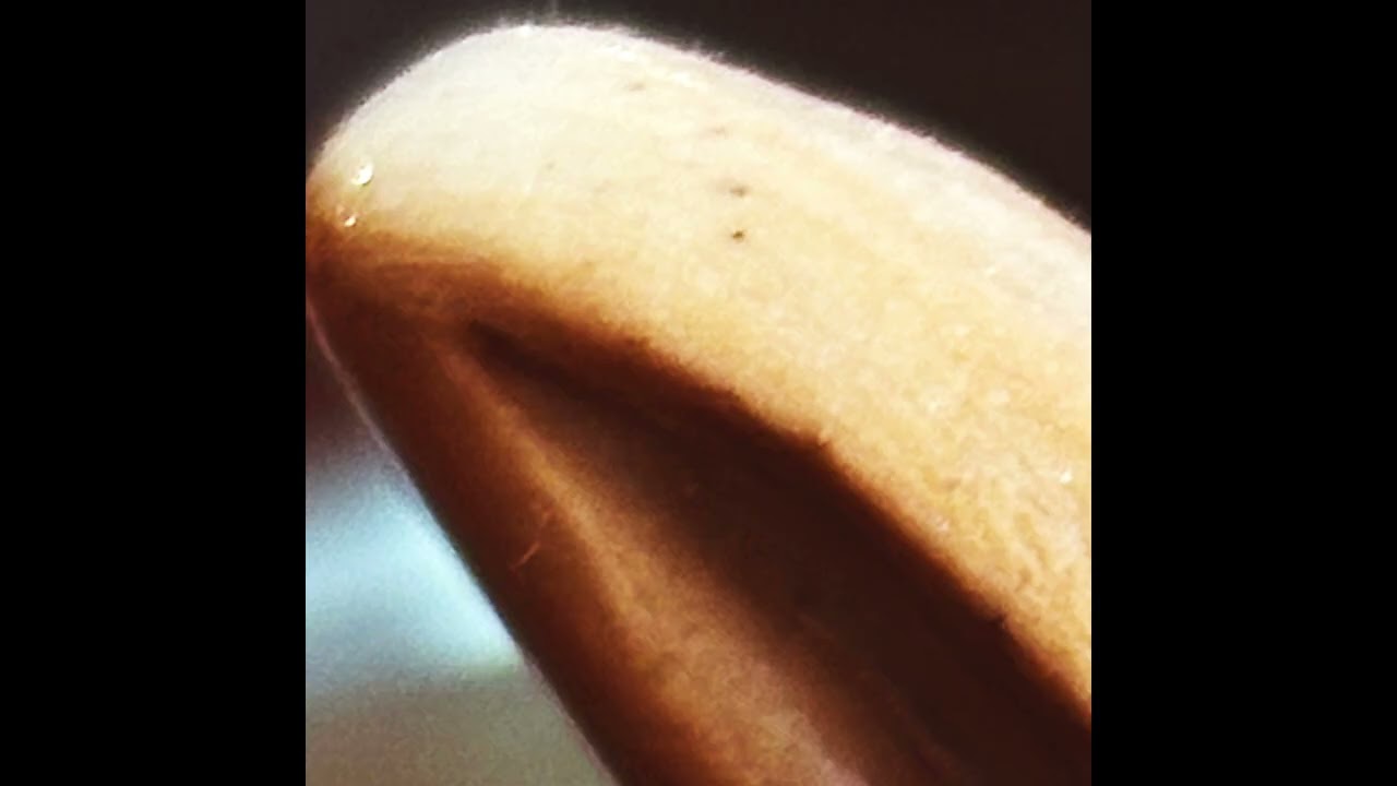 sleepazoid - FIG TREE