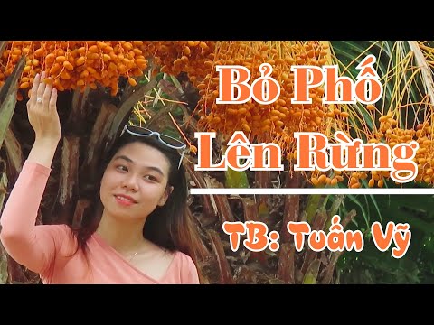Gởi tặng những người yêu mến Tuấn Vỹ. Mời cả nhà cùng thư giãn ca khúc.Bỏ Phố lên rừng.Tuấn Vỹ.