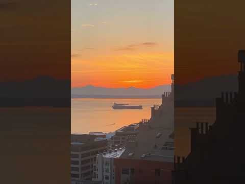 Sunset in Seattle from the Nest rooftop bar😮SUBSCRIBE🙌 #sunset #rooftopbar #seattle #washington