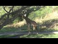 Killimanjaro Safaris Animal Kingdom WDW Orlando 1 Feb 2021 1 Of 3