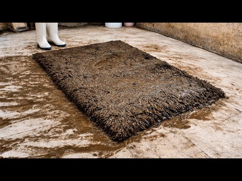 Can This Black Shaggy Rug Be Clean Again?Carpet cleaning Satisfying ASMR