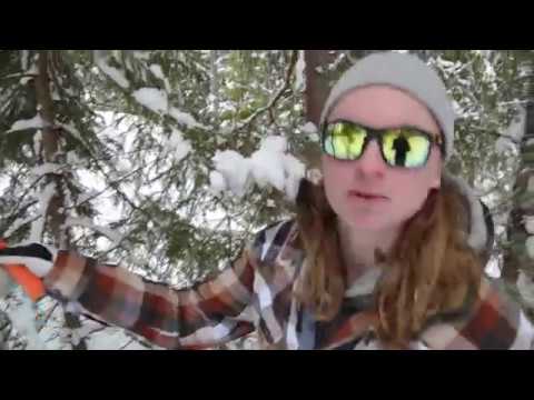 The Wildlife Experience - Winter