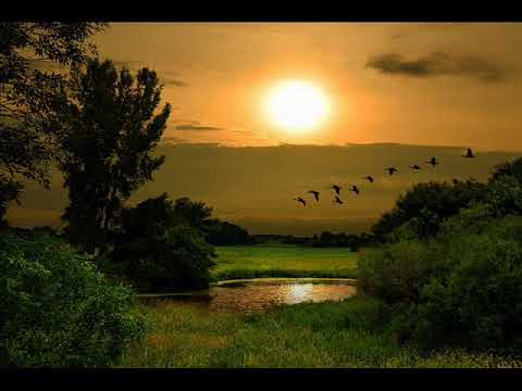 Pelayo Vallejo - A Los Ángeles Del Cielo