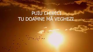 Video thumbnail of "Puiu Chibici  - Tu, Doamne ma veghezi"