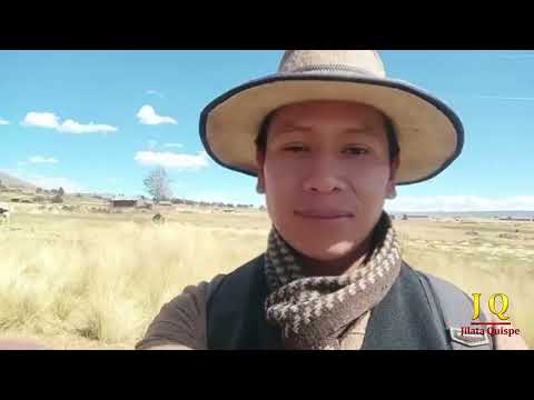 Visitando SULLKATA, municipio de GUAQUI provincia Ingavi 😱La Paz 🏞️