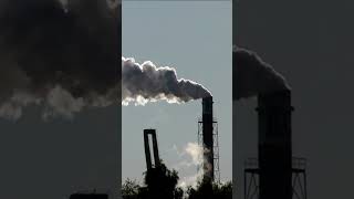 What is the Ozone Layer?