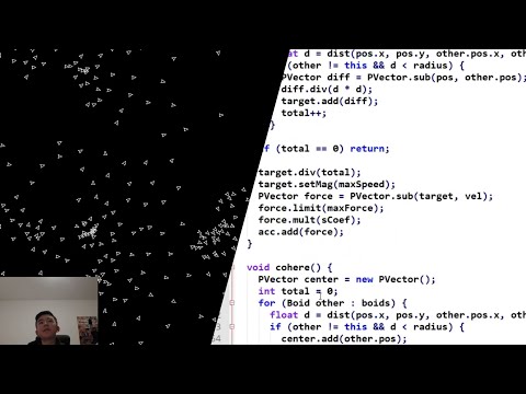 Coding Boids in 15 Minutes