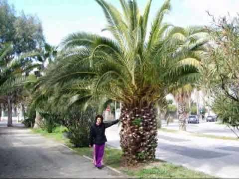 Adele Muscato - Amore senza limiti