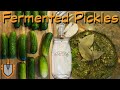 Fermented Dill Pickles