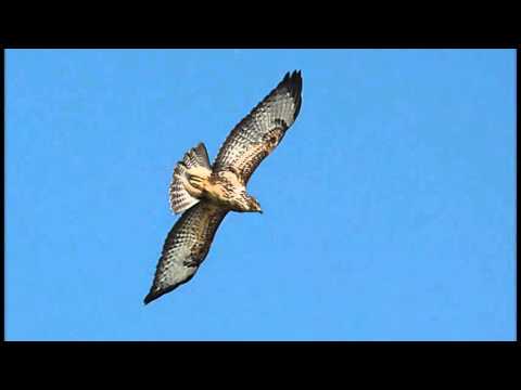 Manfredonia, il fascino di un territorio (VIDEO - DOCUMENTARIO)