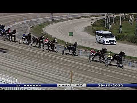 Aversa trotto 29 Ottobre 2022 - 2° Corsa