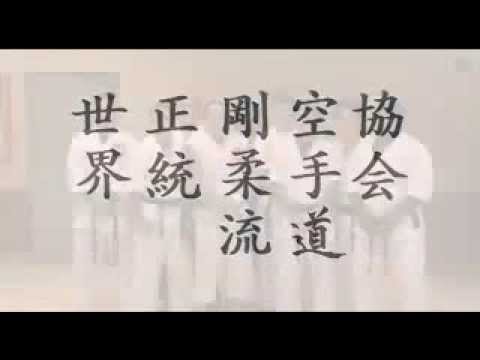 WOGKO [Sekai Seito Goju Ryu Karate Do Kyokai]