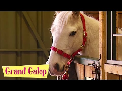 Grand Galop - Mauvais jour pour Stéphanie et Filles contre garçons | Grand Galop Saison 2