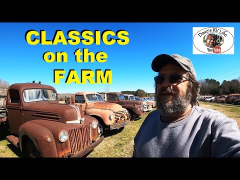 Simpson's Farm - Huge Collection of Classic Cars & Trucks