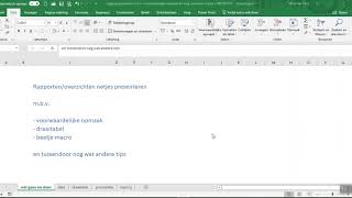 Netjes presenteren in Excel