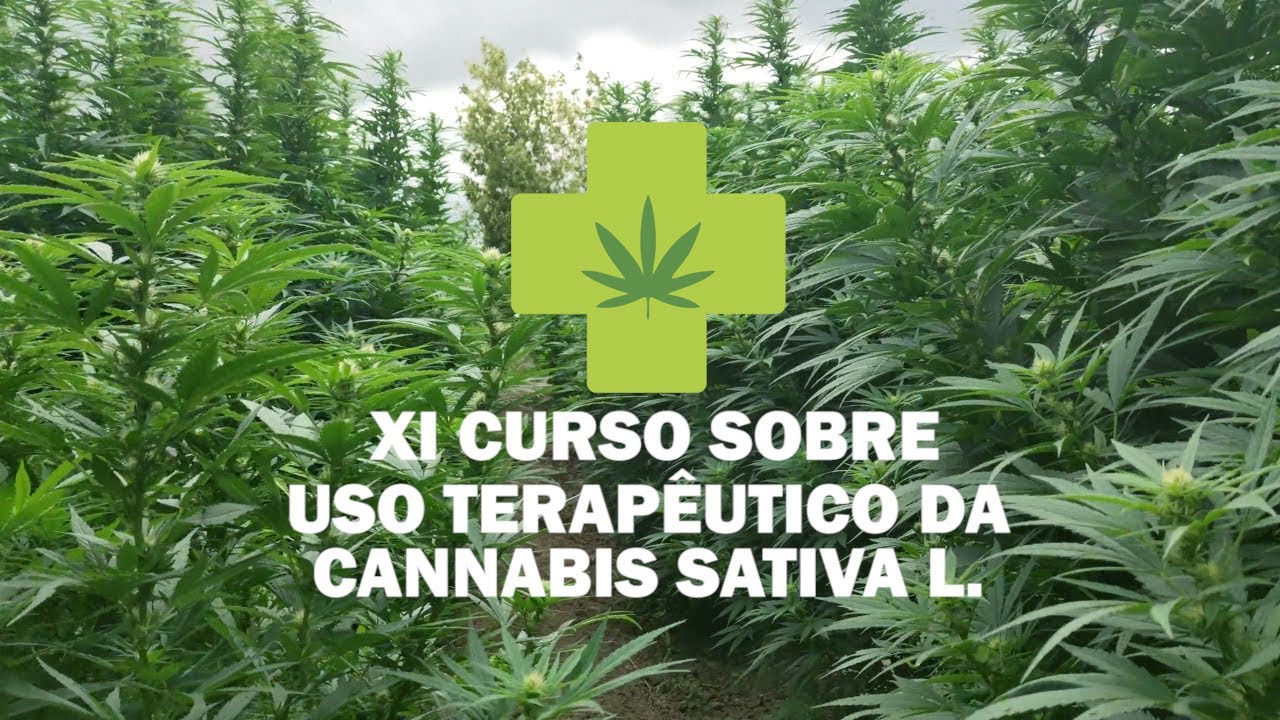 1ª Aula - Apresentação do XI Curso sobre o uso terapêutico da Cannabis sativa L.