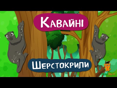 Дива природи. Явища навколо нас. Шерстокрили