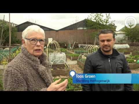 GLD VANDAAG  2 mei 2017