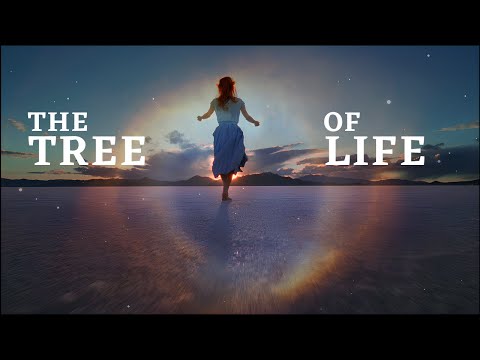 The Tree Of Life | Soundtrack CUT