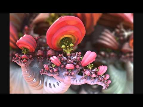 Dick Trevor - DJ Set - Boom Festival 2014