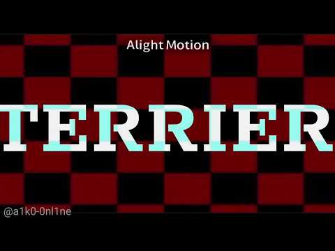 PITBULL TREND (ft. Nash, Eunoia & mafioso) | Aiko_