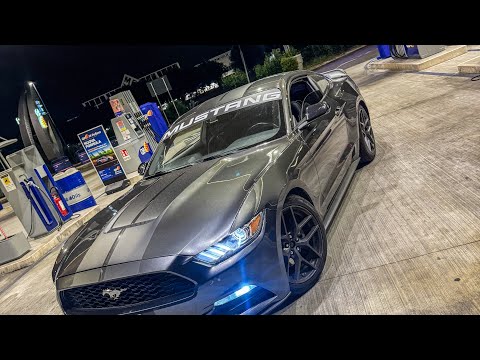 TIGUA x WEEDBLACK x CHOLO - MENTIRA (Official Video) 