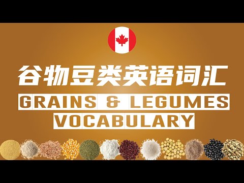 Learn Grains and Legumes Vocabulary in English 谷物豆类英文词汇