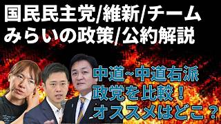 ゆっくり解説国民民主党維新の会チームみらいの重点政策とどんな人が投票すべきか徹底解説