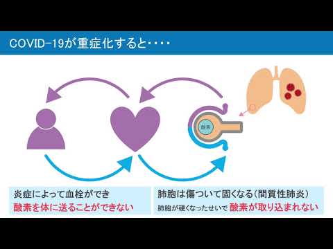 臨床工学科　学びを紹介