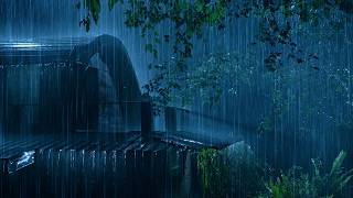 (No Ads) Relaxing Rain & Thunder on Metal Roof 🌧️ | Deep Sleep in 3 Minutes