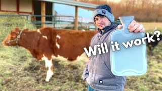 Now Milking Time is WAY Easier! Here's what I did...