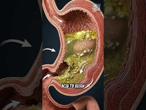 Pizza First Thing — How It Affects Your Body🍕 #digestivehealth #healthyeating #healtheducation