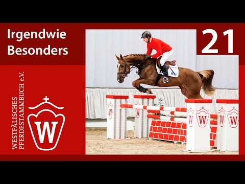 21 Irgendwie Besonders Stute v. Inliner - Lancer III