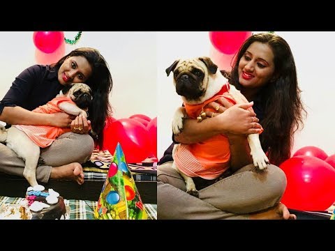 Kumkuma Puvvu serial heroine Amrutha Celebrates her Pet Dog Zoobu Birthday Photos