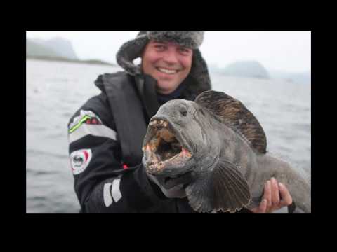 NordNorwegen 2018 Grotavaer