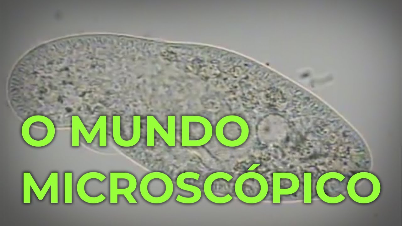 MicroMundo - O Mundo Microscópico