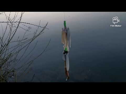 Wallerfischen an der Donau mit "Der Zapfen"