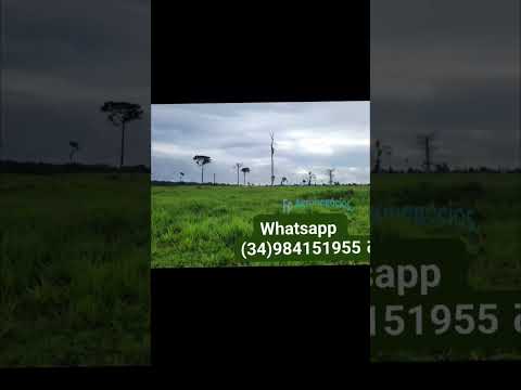 fazenda em apiacas mato grosso MT com 435 ha. Plana com teor de argila de 25% acima #sitio #pecuari