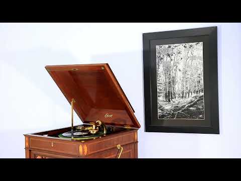 Waltz "When You Find a Girl Who Loves You" Kaplan's Melodists on Edison Diamond Disc Record 51791-R