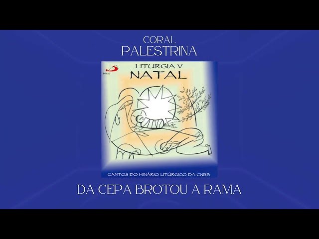 Preview do vídeo
