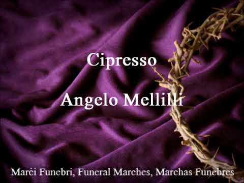 Cipresso - Angelo Mellili