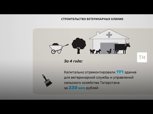 С 2013 года в РТ построили 126 ветеринарных клиник