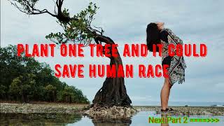 Kegiatan Pramuka sosialisasi Abrasi pantai dan penanaman  bibit pohon mangrove Part 1