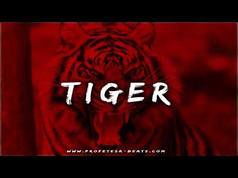 Aggressive Fast Flow Trap Rap Beat Instrumental ''TIGER'' Hard Angry Indian Sample Type Hype Trap