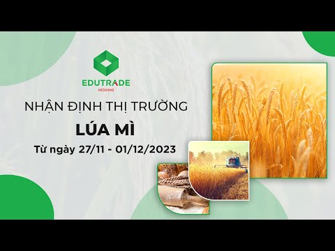 Nhận Định Thị Trường - Lúa mì ( Ngày 27/11 - 01/12/2023 )